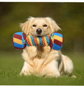 Squeaky Dog Chew Toy <span class=keywords><strong>Candy</strong></span> <span class=keywords><strong>Dumbbell</strong></span> Limpieza de dientes Molar para entrenamiento Tiempo de Unión interactivo Suministros para mascotas - Product Image 6