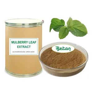 US Warehouse Supply Organic Sodium Copper Chlorophyll Mulberry Leaf Leaves Extract Powder 1 DNJ 1-DNJ Polysaccharide Flavonoids