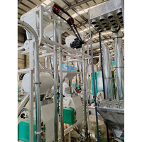 Minoteries 10-200T Machine à Fabriquer la Farine de Blé Prix