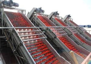 Tùy chỉnh cà chua dán dây chuyền sản xuất cà chua nhà máy chế biến chuyên dụng rửa, lột, ép và máy đóng gói - Product Image 4