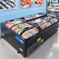 Congélateur commercial combiné en acier peint, 2 portes, refroidissement direct, dégivrage manuel, 1200*760*850mm, pour le stockage de viande congelée