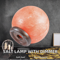 Lampe de sel rose de l'Himalaya sculptée en mini-USB, lumière LED multicolore changeante pour bureau, Feng Shui et amour (vente en gros)
