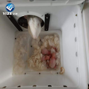 Cage à lapin de style européen automatique de vente chaude avec des plateaux en plastique tous les accessoires - Product Image 6