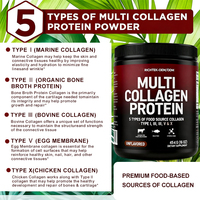 Fabricant OEM ODM Personnalisé Vente Chaude Supplément Halal Poudre de Collagène Multi-Peptides de Collagène