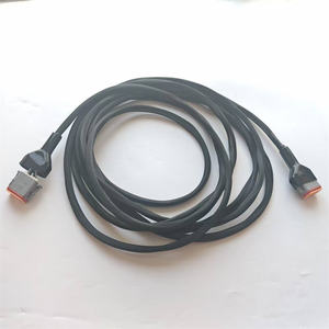 IATF16949 인증 전문 케이블 하네스 공급업체 12p DT06 DT12S 방수 커넥터 케이블 및 와이어 하네스 어셈블리(커버 포함) - Product Image 1