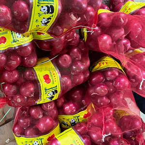 Cebollas Rojas, Amarillas y Moradas Peladas de Primera Calidad, Empaquetado en Bolsa de Malla de 25 kg, Provincia de Gansu con Ricas <span class=keywords><strong>Propiedades</strong></span> Antioxidantes - Product Image 3