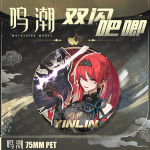 20 styles, 75 mm, Wuthering Waves, Yangyang <span class=keywords><strong>Encore</strong></span>, dessin animé japonais, Baji Ba Ji, anime, badge en alliage, broche, épingle - Product Image 3