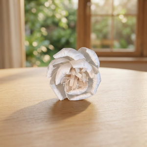 Handmade White 8CM Sola Wood Flowers Environmental Friendly Indoor Wedding Party Events Home Decor Wholesale Decorative Plants - Product Image 3