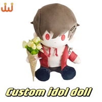 Poupées en peluche personnalisées avec vêtements interchangeables Poupée fille en peluche personnalisée avec tenues Kawaii idole de célébrité cadeau parfait pour les fans