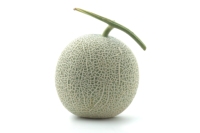 Import van bulk 1,2-1,5 kg Premium Kwaliteit Rijke Zoetheid Musk Meloen Japanse Verse Fruit Koper