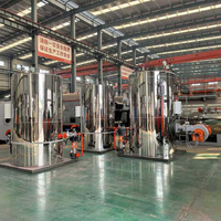 Chaudière industrielle à eau chaude verticale de petite taille, alimentée au propane, hydrogène, biogaz, diesel, fioul, gaz naturel, GPL, fabriquée en Chine