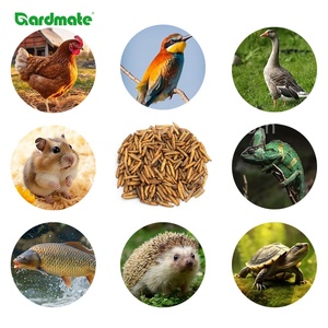 GARDMATE 1KG Larves de mouche soldat noire séchées de qualité supérieure pour oiseaux - Nourriture pour oiseaux riche en protéines et en matières grasses - Product Image 2