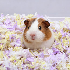 ที่นอนสัตว์เลี้ยงขนาดเล็กที่นุ่มสบาย ซึมซับน้ำได้ดีเยี่ยม ทำจากกระดาษฝ้ายสีรุ้ง สำหรับหนูแฮมสเตอร์ กระต่าย และหนูตะเภา - Product Image 2