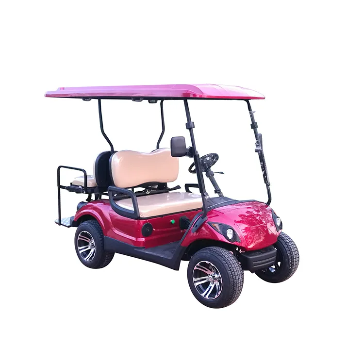 2 + 2 Zetels Golfkar Buggy Met Lithium Batterij