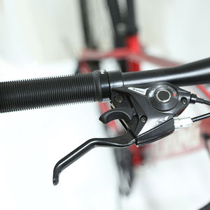 VTT 27 vitesses MTBGO en promotion, 29 pouces, livraison gratuite, vélo tout-terrain pour homme, idéal pour le dirt jump, les cascades et le descente. - Product Image 2