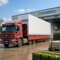 Conteneur mobile réfrigéré pour chaîne du froid, boîte de stockage à atmosphère contrôlée pour la préservation des fruits et des fleurs