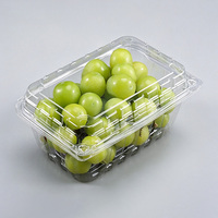 500C Transparante, ademende, wegwerpbaar, aanpasbare scharnierende clamshell PET-verpakking, 500g capaciteit voor vers fruit