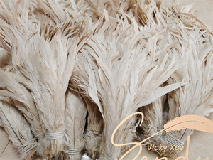 16-18 "ريش الديك الطويل Pluma De Gallo Blanco ريش ذيل Coque للحرف اليدوية ، والكرنفالات ، والأزياء غطاء الرأس Samba - Product Image 3