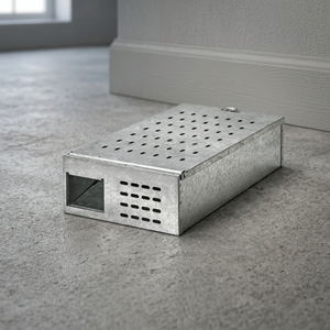 Grand piège à souris et à rats conçu en Italie pour une lutte antiparasitaire efficace Offre Spéciale un système de surveillance des rongeurs - Product Image 2