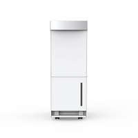 Deshumidificador Eléctrico Inteligente de 5.5L, Electrodoméstico de Aire Acondicionado, Máquina de Secado por Absorción, Deshumidificador Doméstico para el Hogar y Hoteles