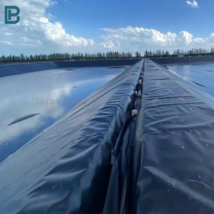 Ventes directes d'usine professionnelles moderne 0.5-2mm HDPE géomembrane résistant aux UV en PVC LDPE EVA LLDPE polyéthylène renforcé - Product Image 4