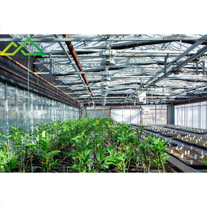 Invernadero con Sistema de Iluminación de Cultivo <span class=keywords><strong>HPS</strong></span>, Lámpara de Sodio de Alta Presión para el Cultivo Comercial de Plantas - Product Image 3