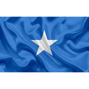 Hui feng bandeira nacional anúncio barato bandeira da somalia