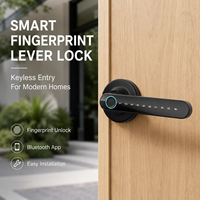 Poignée de porte intelligente avec lecteur d'empreintes digitales, serrure à cylindre intelligente pour portes en bois