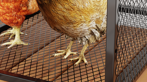Outdoor <strong>Large</strong> Chicken Cage Weasel-Proof <strong>Rabbit</strong> <strong>Hutch</strong> &amp; Pigeon Coop, Multi-Purpose Animal Enclosure - Product Image 6