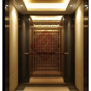 Ascensor de Pasajeros OTIS con Sistema de Tracción, 400kg/600kg, Elevador Eléctrico para Casa, Interior/Exterior, Residencial, para 2-6 Personas - Product Image 6