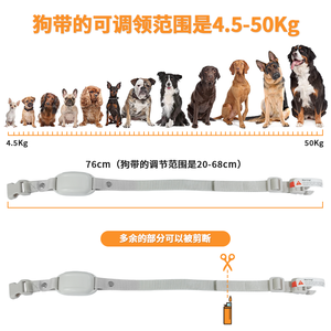 Nouveau <span class=keywords><strong>collier</strong></span> de dressage <span class=keywords><strong>anti</strong></span>-<span class=keywords><strong>aboiement</strong></span> rechargeable <span class=keywords><strong>professionnel</strong></span> pour chiens, défense personnelle, choc électrique, fabriqué en plastique, certifié CE - Product Image 6