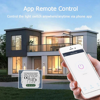 Module de gradateur intelligent Wifi pour bricolage Tuya/Smartlife APP télécommande bidirectionnelle compatible avec Alexa Google Home commande vocale