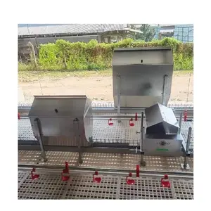 Factory direct sale chicken feeder and drinker poultry automatic feeding and drinking system for broiler coop
