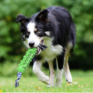 Juguete de Cuerda de Algodón para Perros, Resistente, Interactivo, para Entrenamiento de Mordida, Herramienta de Limpieza Dental para Perros - Product Image 6