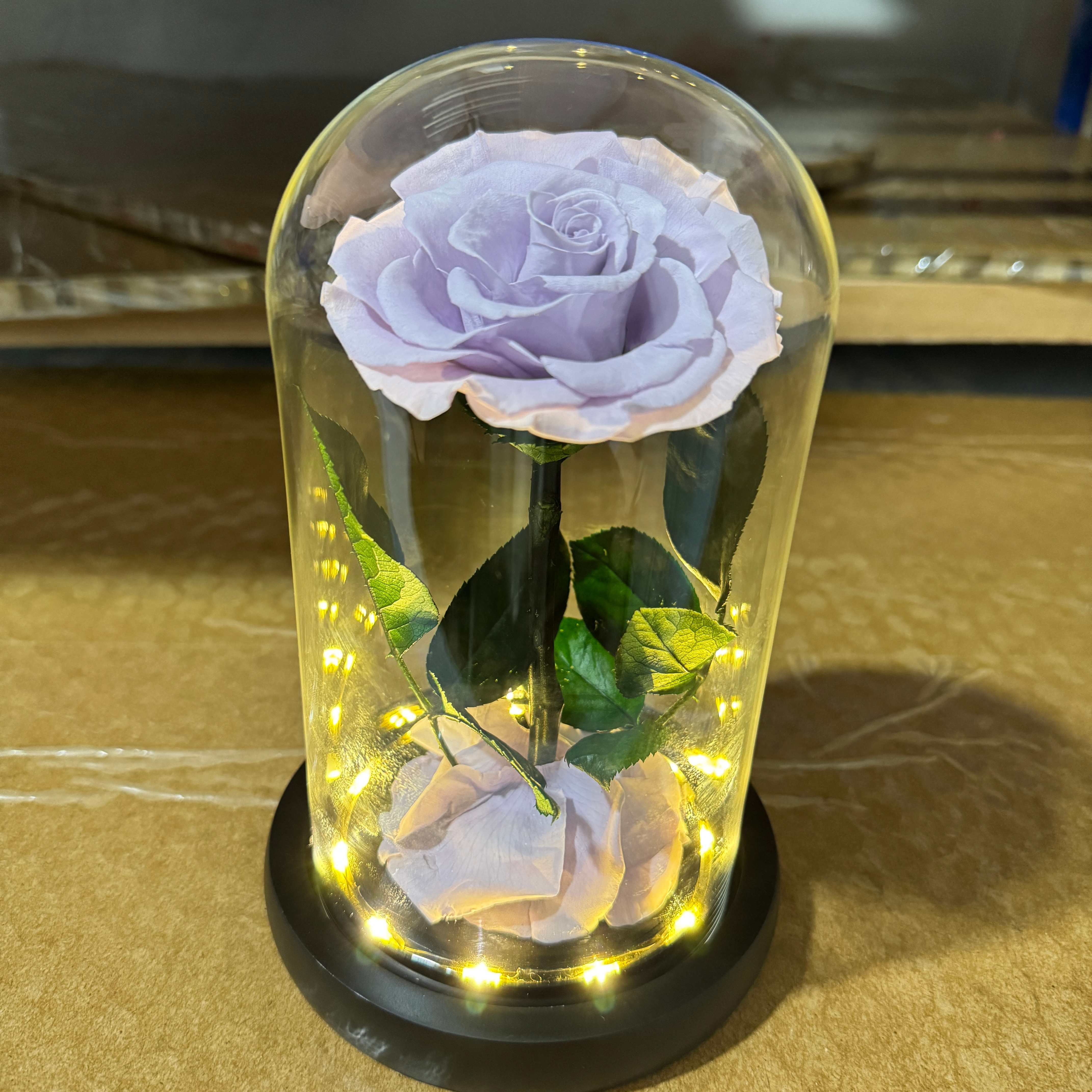 Lavanda