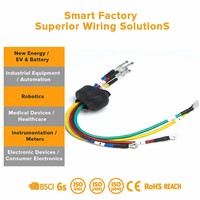 Paket Kabel Harness Baterai Daya dan Pyrofuse Keamanan Tegangan Tinggi untuk Aplikasi Sepeda Motor Listrik dan Kendaraan Citycoco