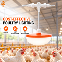 Solusi Pencahayaan LED Unggas Hemat Biaya 48V DC dengan Pemasangan Mudah dan Desain Tahan Air untuk Peternakan Ayam Pedaging dan Petelur