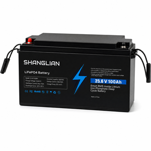 Batería LiFePO4 de 2560Wh 25.6V 100Ah para sistema solar de 24V, almacenamiento de energía doméstico, 4000 ciclos, larga vida útil - Product Image 1