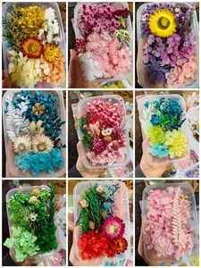 Boîte de <span class=keywords><strong>fleurs</strong></span> séchées <span class=keywords><strong>stabilisées</strong></span> pour l'art de la résine DIY, <span class=keywords><strong>fleurs</strong></span> séchées mélangées multicolores, en vrac, naturelles, kits de matériaux - Product Image 6