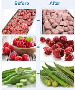 CE Industrial liofilizador de Chocolate alimentos para mascotas dulces alimentos vegetales liofilización secador de frutas máquina de liofilización para alimentos - Product Image 5