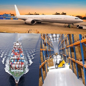 Transporteur vers les États-Unis Transport aérien à bas prix vers l'Australie/États-Unis/Canada/Royaume-Uni/Arabie saoudite/Europe/dans le monde Service porte à porte - Product Image 6