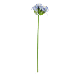 ก้านดอกอะกาแพนทัสประดิษฐ์ยาว 80 ซม. หลายสี ก้านดอกอะกาแพนทัสปลอม - Product Image 5