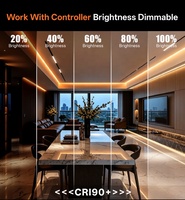 Bande LED COB sans points lumineux, éclairage flexible 6500K DC24V 252 LED/m 10W/m 1000lm/m Ra80 55.6mm, découpe sur mesure, OEM CE RoHS IP20, garantie 2 ans