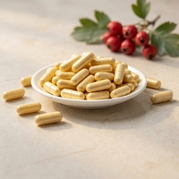 Capsules d'extrait de pissenlit, complément alimentaire à base de plantes, formule personnalisée en marque blanche, capsules en vrac pour femmes adultes