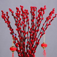 Natürliche Trocken blume Silver Willow Spring Festival Konservierte Blumen pflanzen Wohnkultur Salix Argyracea