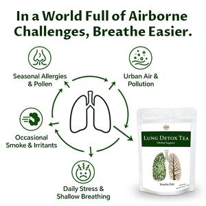 Tisane Detox Polmonare OEM/ODM in Bustine, Miscela Naturale di Erbe per la Pulizia dei Polmoni, Allevia la Gola, Supporta la Salute Respiratoria - Product Image 2