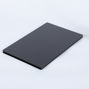 Lámina <span class=keywords><strong>de</strong></span> Policarbonato Transparente Popular, Lámina <span class=keywords><strong>de</strong></span> Plástico <span class=keywords><strong>de</strong></span> Policarbonato <span class=keywords><strong>de</strong></span> Doble <span class=keywords><strong>Pared</strong></span>, Lámina <span class=keywords><strong>de</strong></span> Policarbonato Sólida <span class=keywords><strong>de</strong></span> Doble Capa, Duradera - Product Image 2