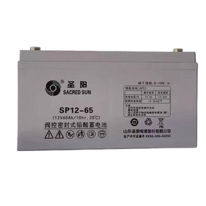 Batería de Plomo-Ácido Saint-Yang SP12-65 12V 65Ah para Uso Médico en UPS y EPS - Product Image 2