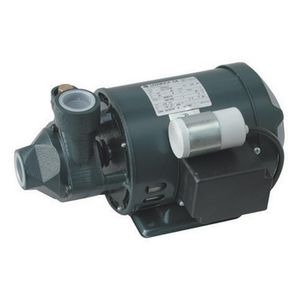 Pompe électrique périphérique Lowara 0,60 kW 0,80 CV pour piscines - Product Image 1