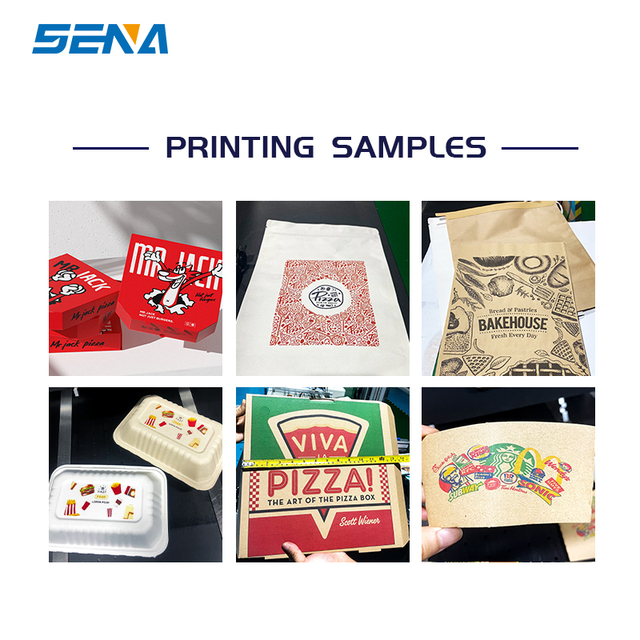 Sena DX5 UV Inkjet Carton Printing Machine One Pass Corrugated Single Channel New Leather & Carton Printer